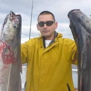 Meet your Posher, Everett